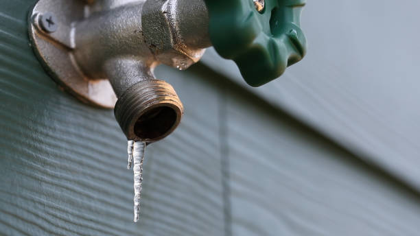 Best Emergency Plumber  in Amherst, VA